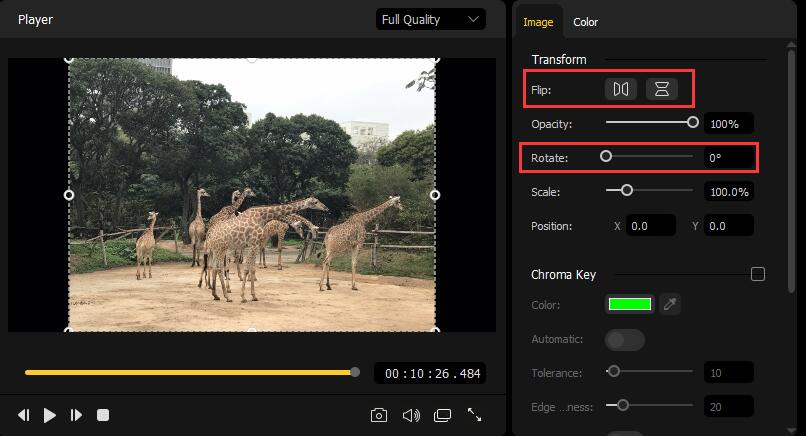 rotate or flip image