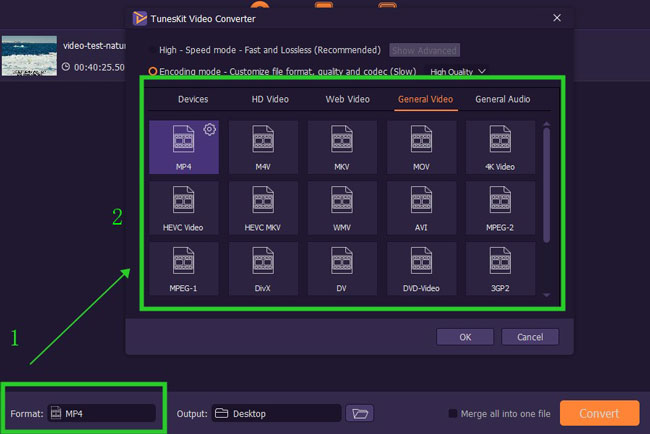 change video format with VideMake Video Editor